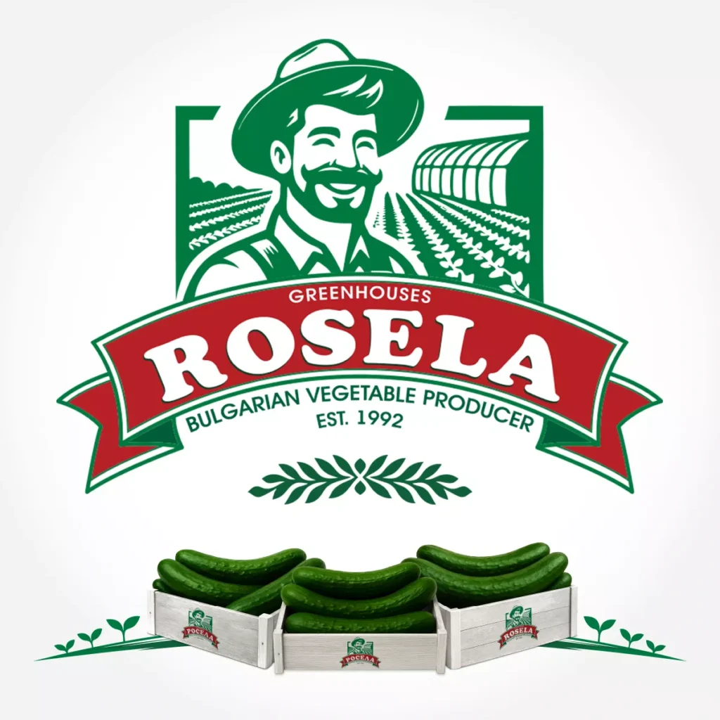 Rosela AD premium B2B greenhouse cucumber producer in Bulgaria