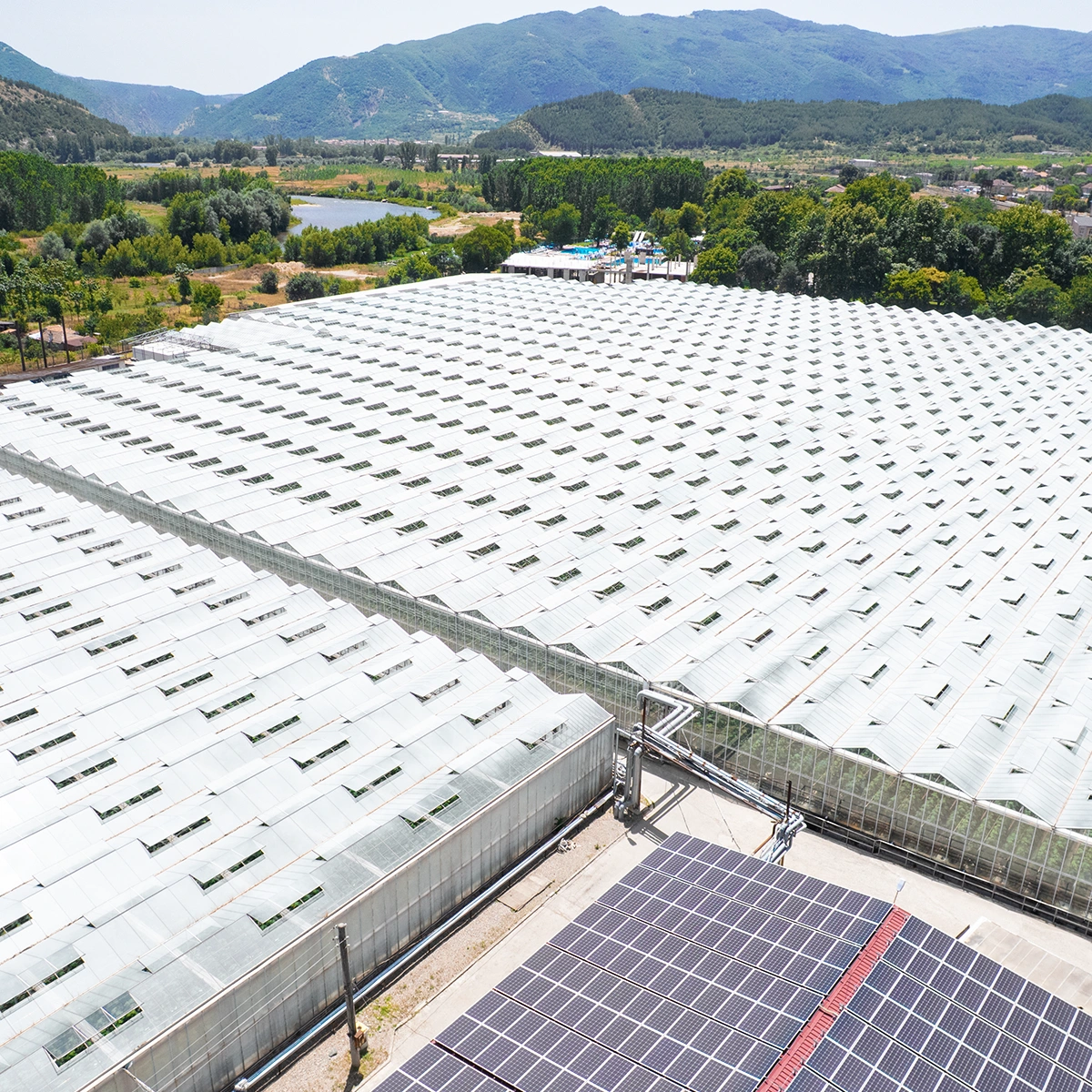 Rosela AD: 5,830 leads with Google Ads | Case study 3 Rosela AD geothermal greenhouses in Simitli