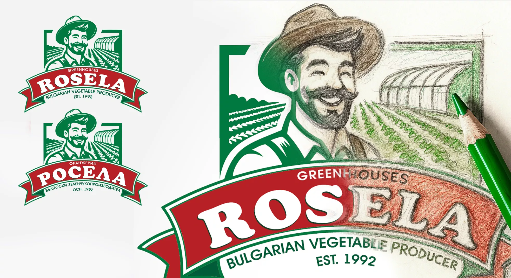 Rosela AD: 5,830 leads with Google Ads | Case study 5 Rosela digital marketing strategy logo design process