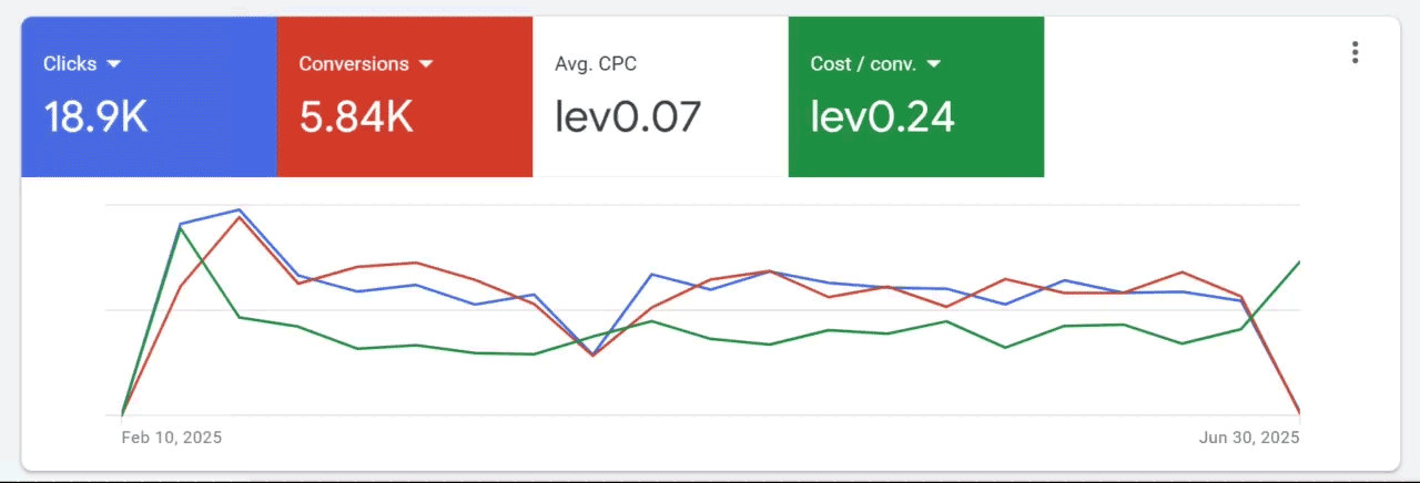 Rosela AD: 5,830 leads with Google Ads | Case study 4 Rosela Google Ads CTR 5.89 percent performance dashboard