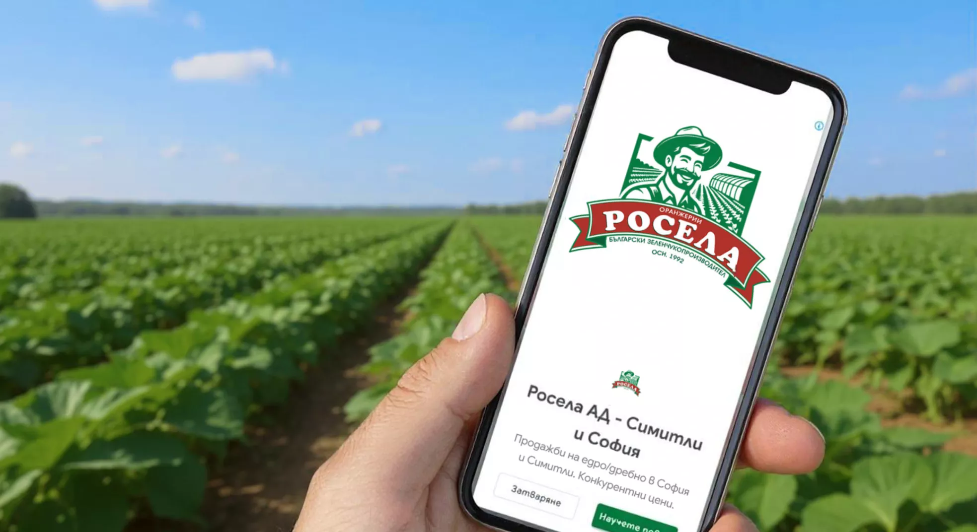 Rosela AD: 5,830 leads with Google Ads | Case study 10 Rosela Google Display Ads campaign results