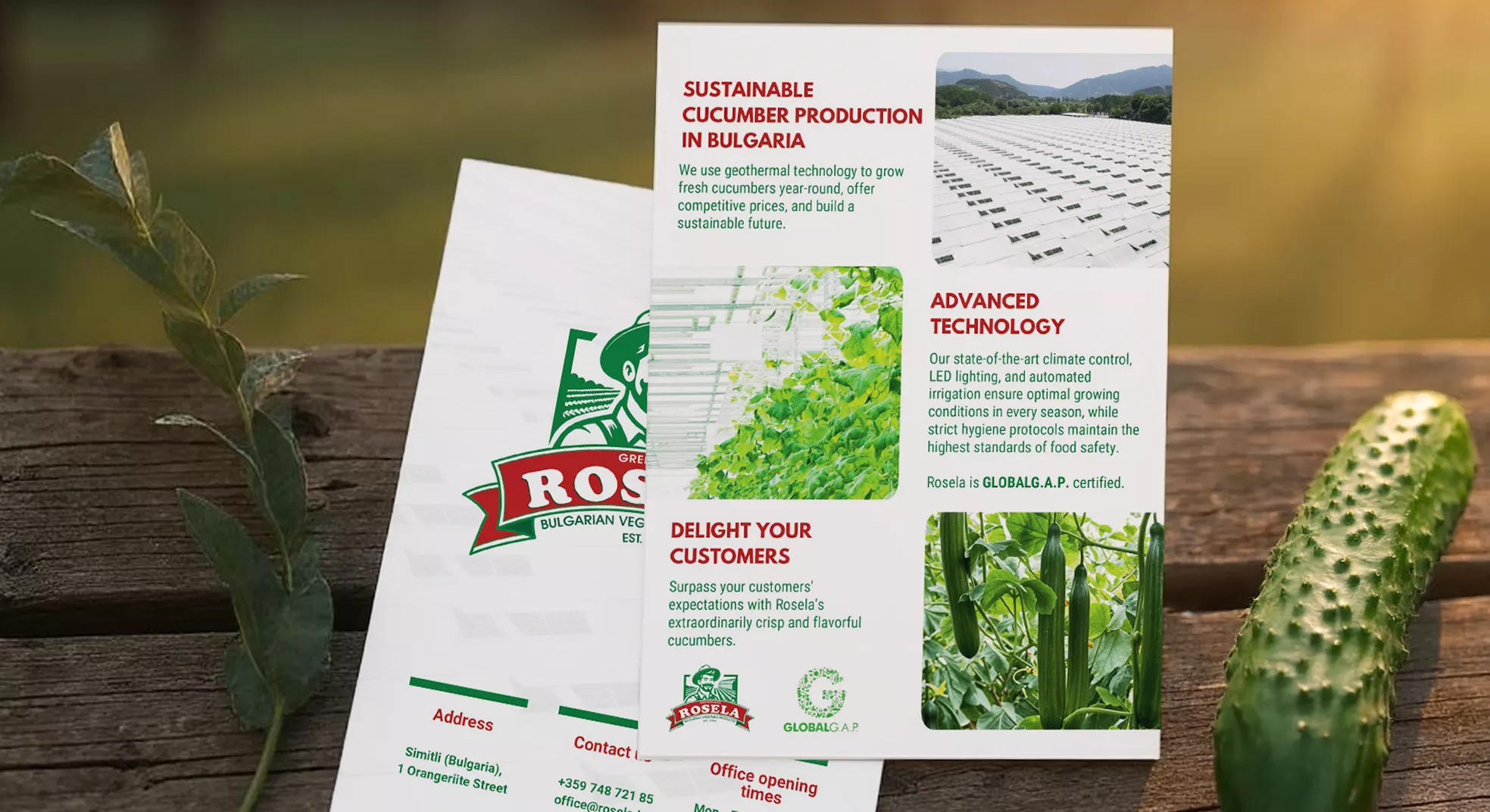 Rosela AD: 5,830 leads with Google Ads | Case study 12 Rosela professional marketing flyer design