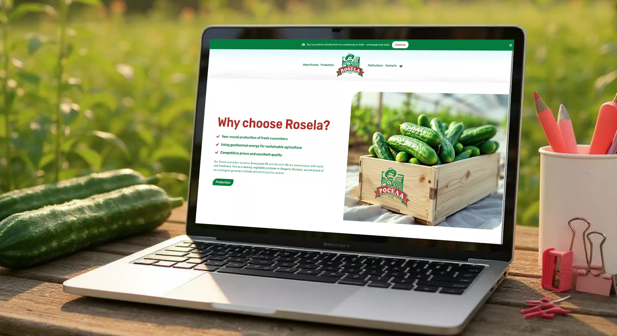 Rosela AD: 5,830 leads with Google Ads | Case study 6 Rosela website design and digital marketing showcase