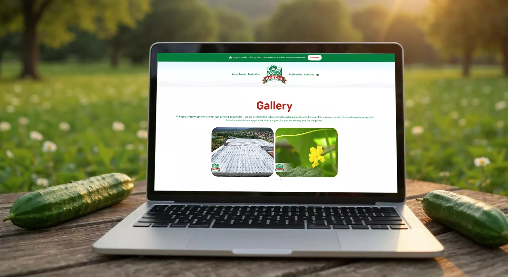 Rosela AD: 5,830 leads with Google Ads | Case study 7 Rosela website gallery page and production photography